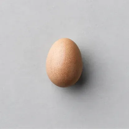 Egg